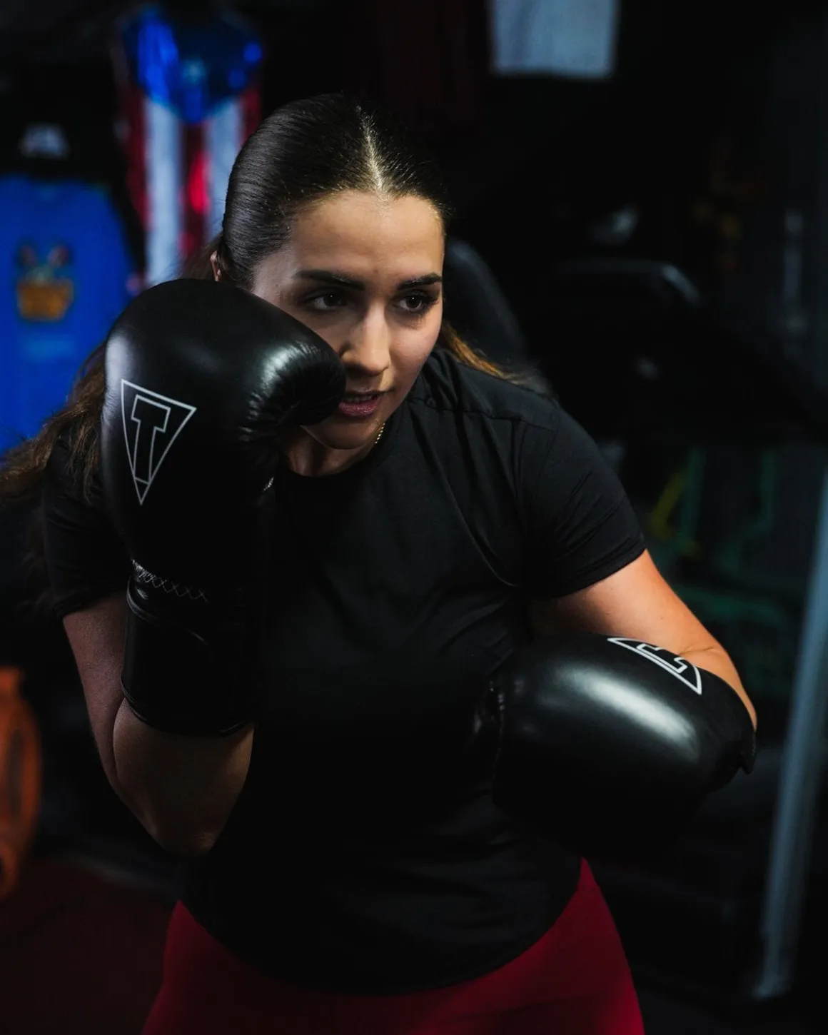 TITLE Boxing Momentum Pro Training Gloves