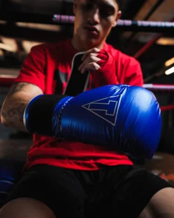 TITLE Boxing Momentum Pro Training Gloves