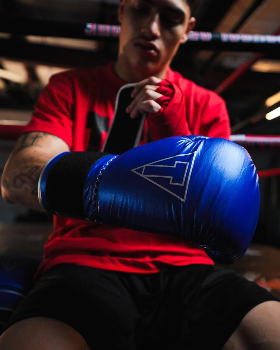 TITLE Boxing Momentum Pro Training Gloves