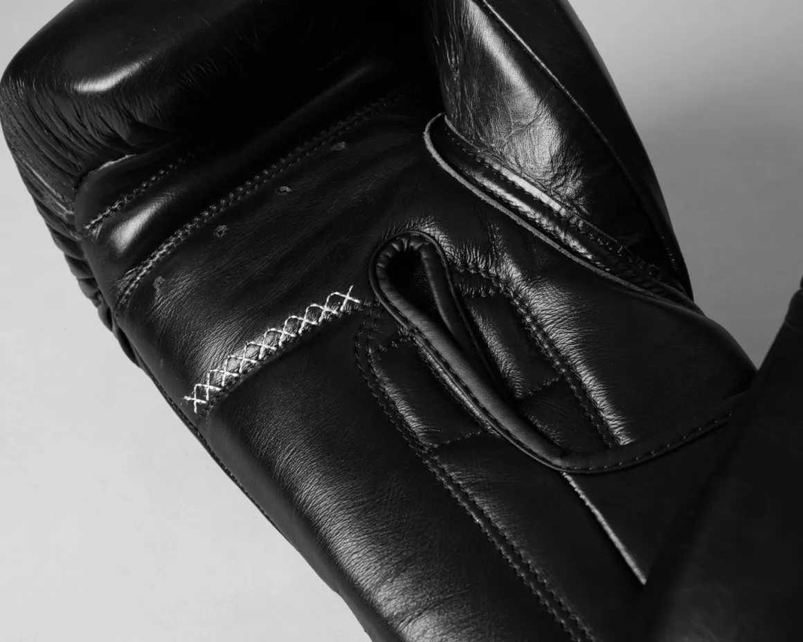TITLE Boxing Momentum Pro Training Gloves