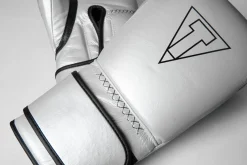 TITLE Boxing Momentum Pro Training Gloves
