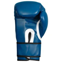TITLE Boxing Peak Bag Boxing Gloves