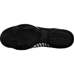 TITLE Boxing Predator II Shoes 2.0