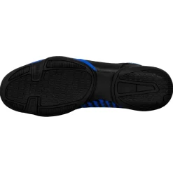 TITLE Boxing Predator II Shoes 2.0