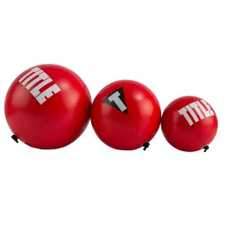 TITLE Boxing Reflex Ball