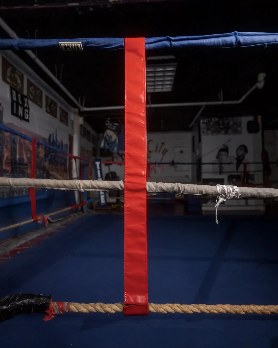 TITLE Boxing Two-Sided Rope Spacers