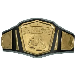 TITLE Boxing Undisputed Championship Belt