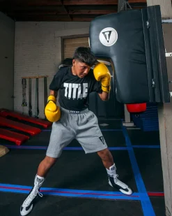 TITLE Boxing Wall Mount Menace Training Bag: Best Wall Mounted Punching Bag