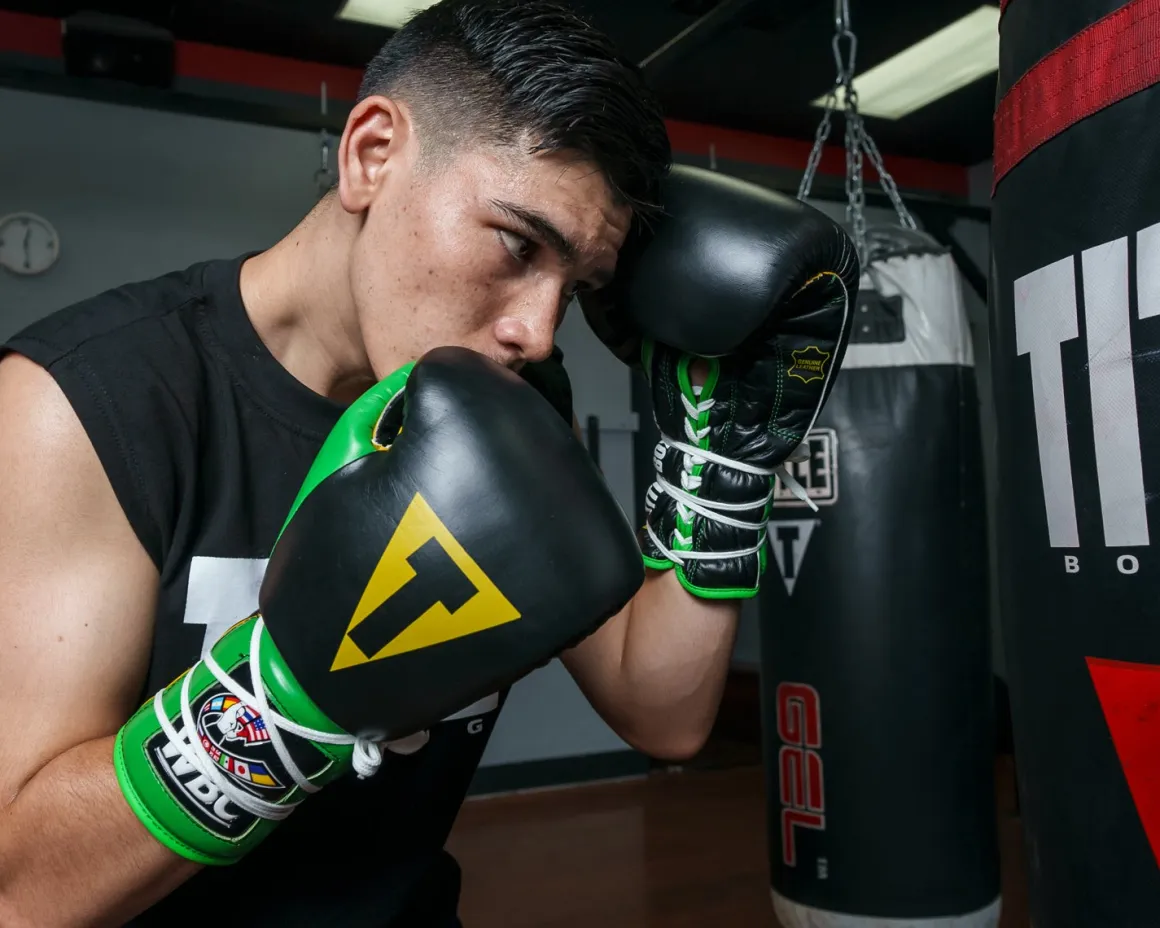 TITLE Boxing WBC Sparring Gloves