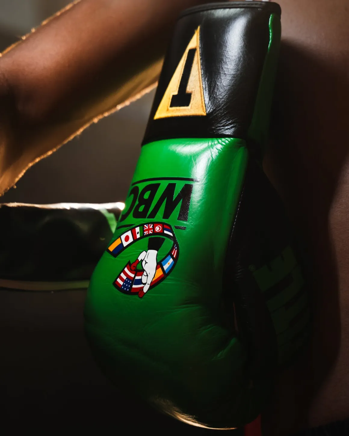 TITLE Boxing WBC Sparring Gloves