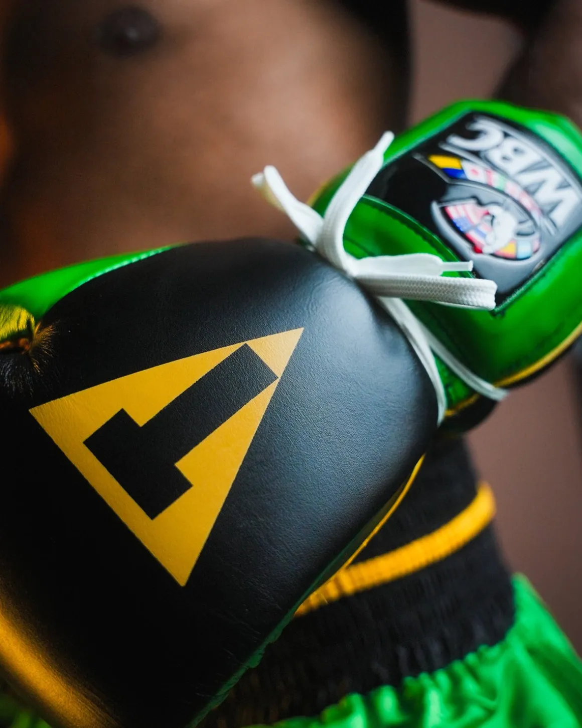 TITLE Boxing WBC Sparring Gloves