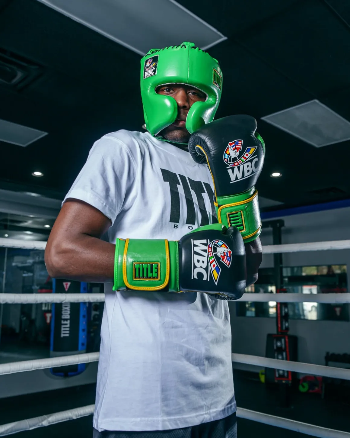 TITLE Boxing WBC Training Gloves