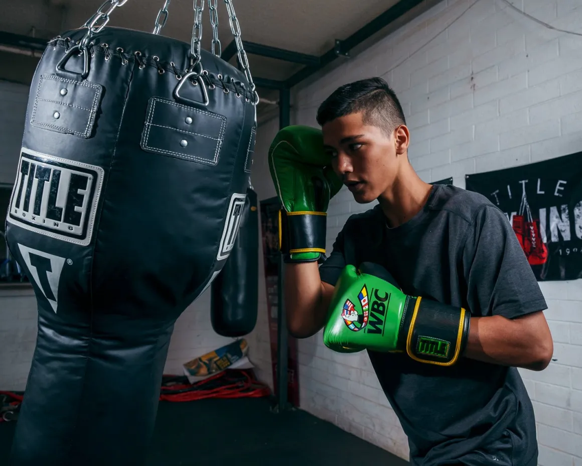 TITLE Boxing WBC Training Gloves
