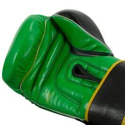 TITLE Boxing WBC Training Gloves