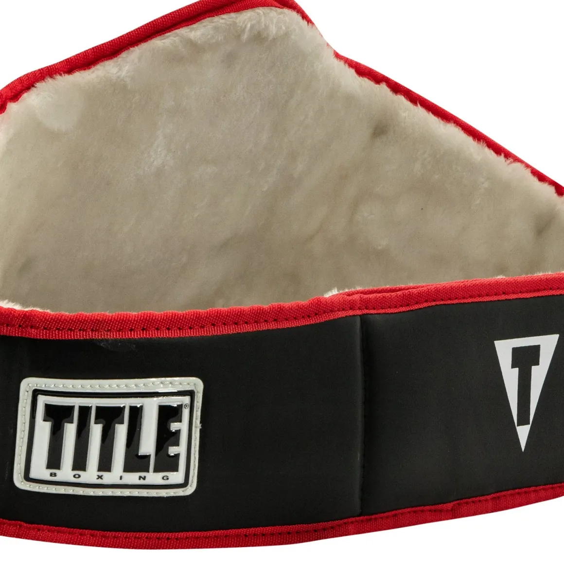 TITLE Boxing World Championship Title Belt