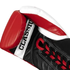 TITLE Classic Corrupt Pro Fight Gloves