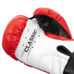 TITLE Classic Kid & Youth Boxing Gloves 2.0