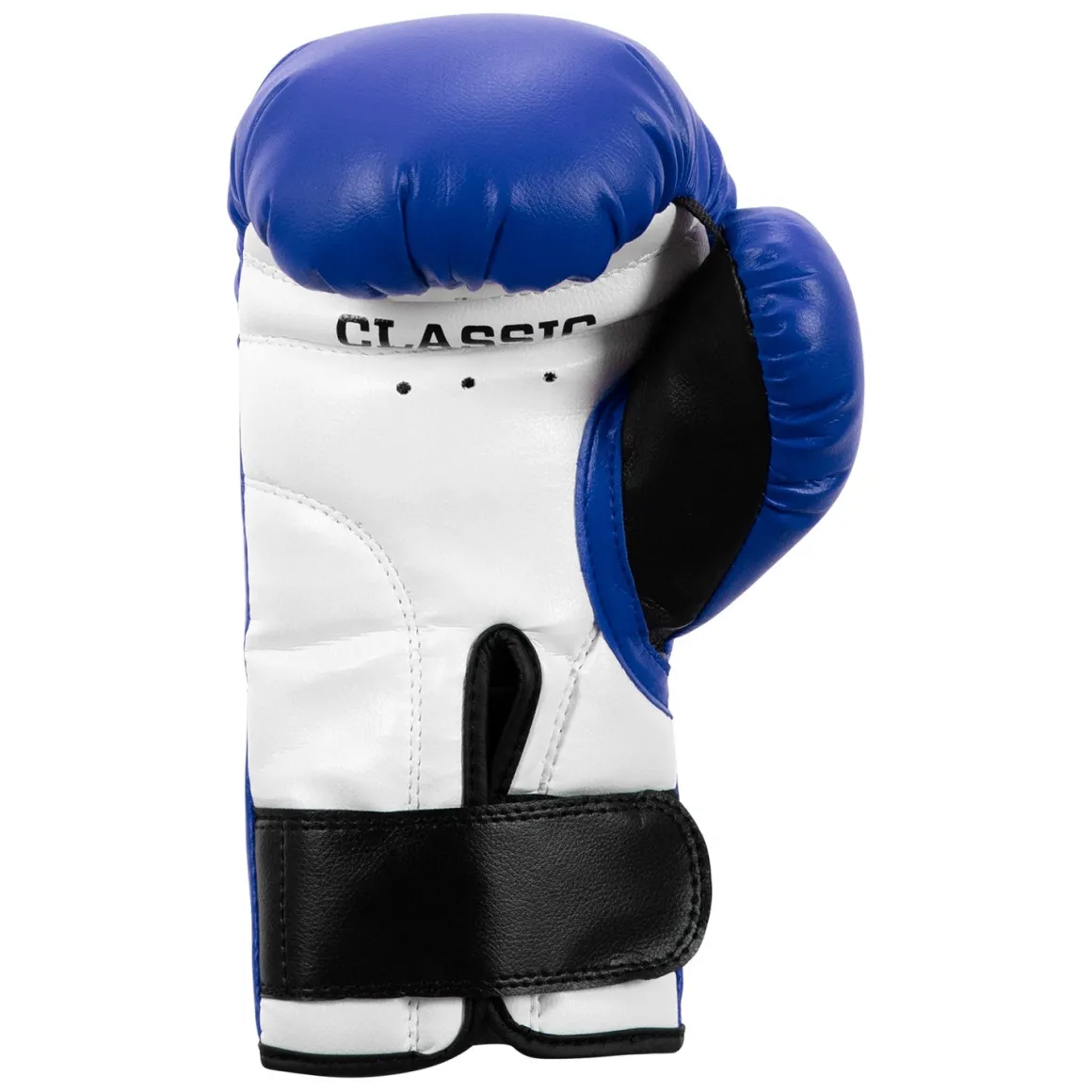 TITLE Classic Kid & Youth Boxing Gloves 2.0
