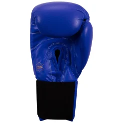 TITLE Classic Leather Elastic Training Boxing Gloves 2.0