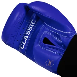 TITLE Classic Leather Elastic Training Boxing Gloves 2.0