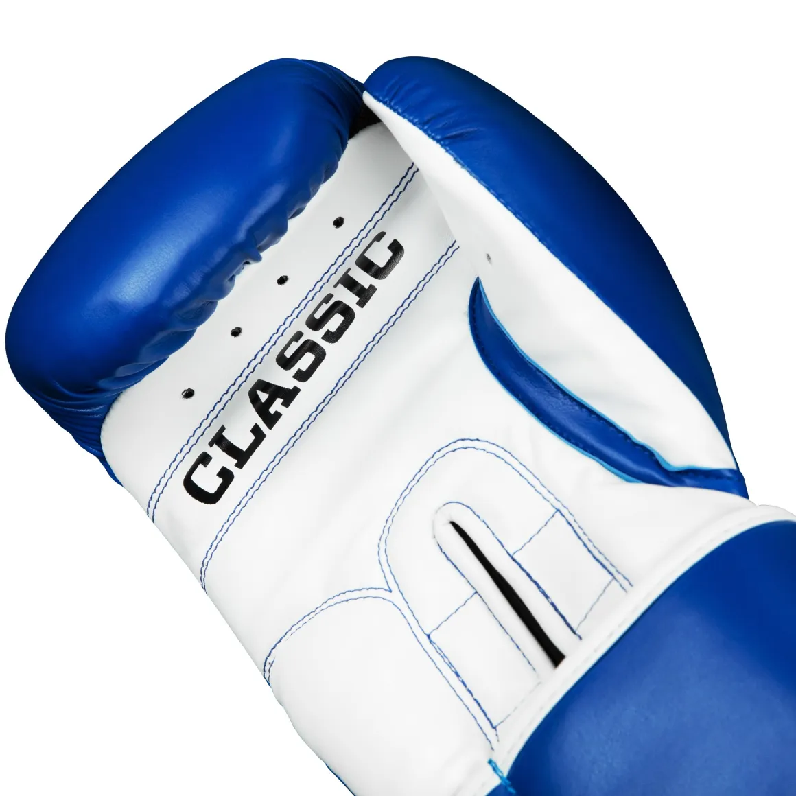 TITLE Classic Pro Style Training Boxing Gloves 3.0