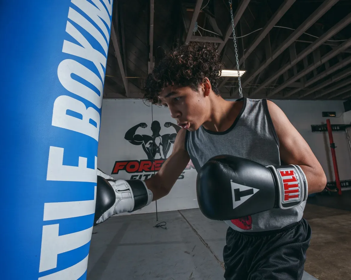 TITLE Classic Pro Style Training Boxing Gloves 3.0