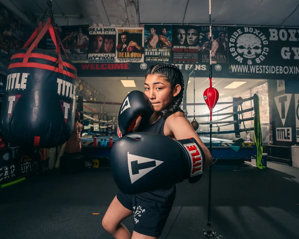 TITLE Classic Retaliate Boxing Gloves