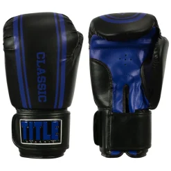 TITLE Classic Speed Boxing Gloves