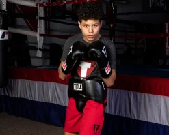 TITLE Classic Super Bag Boxing Gloves 2.0