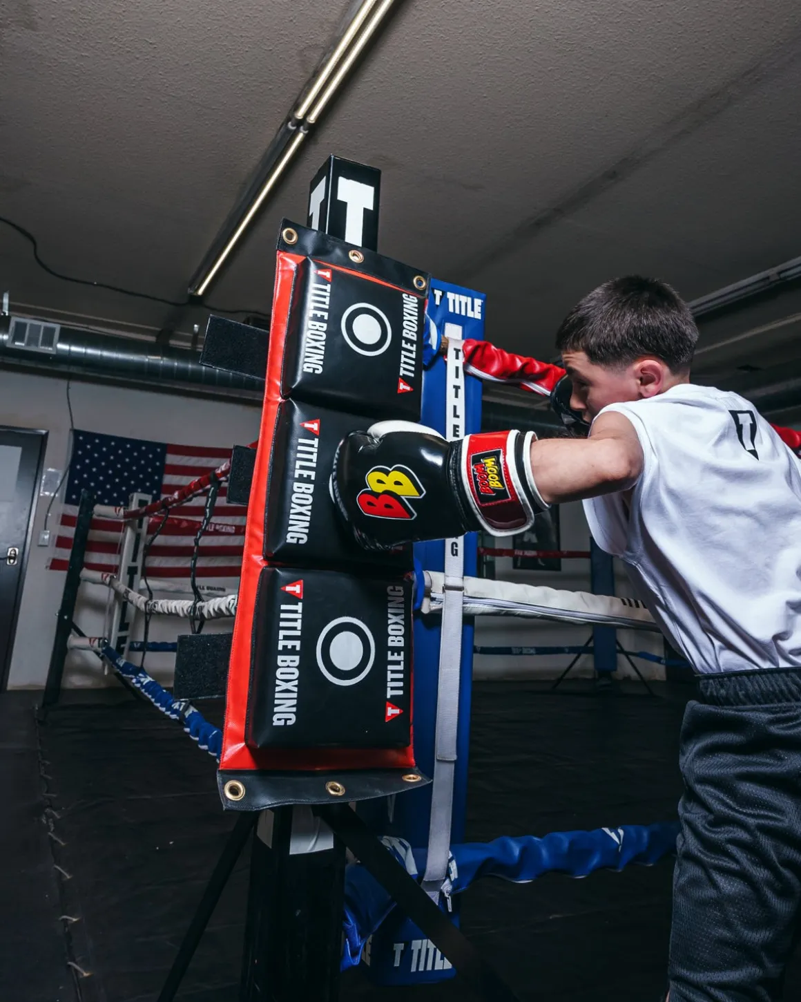 TITLE Combination Punching Pad