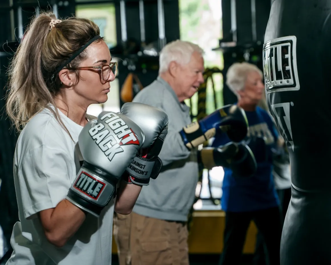 TITLE Fight Back Boxing Gloves