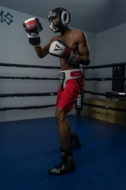 TITLE GEL World Full Face Training Headgear