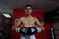 TITLE Great Official Pro Fight Gloves