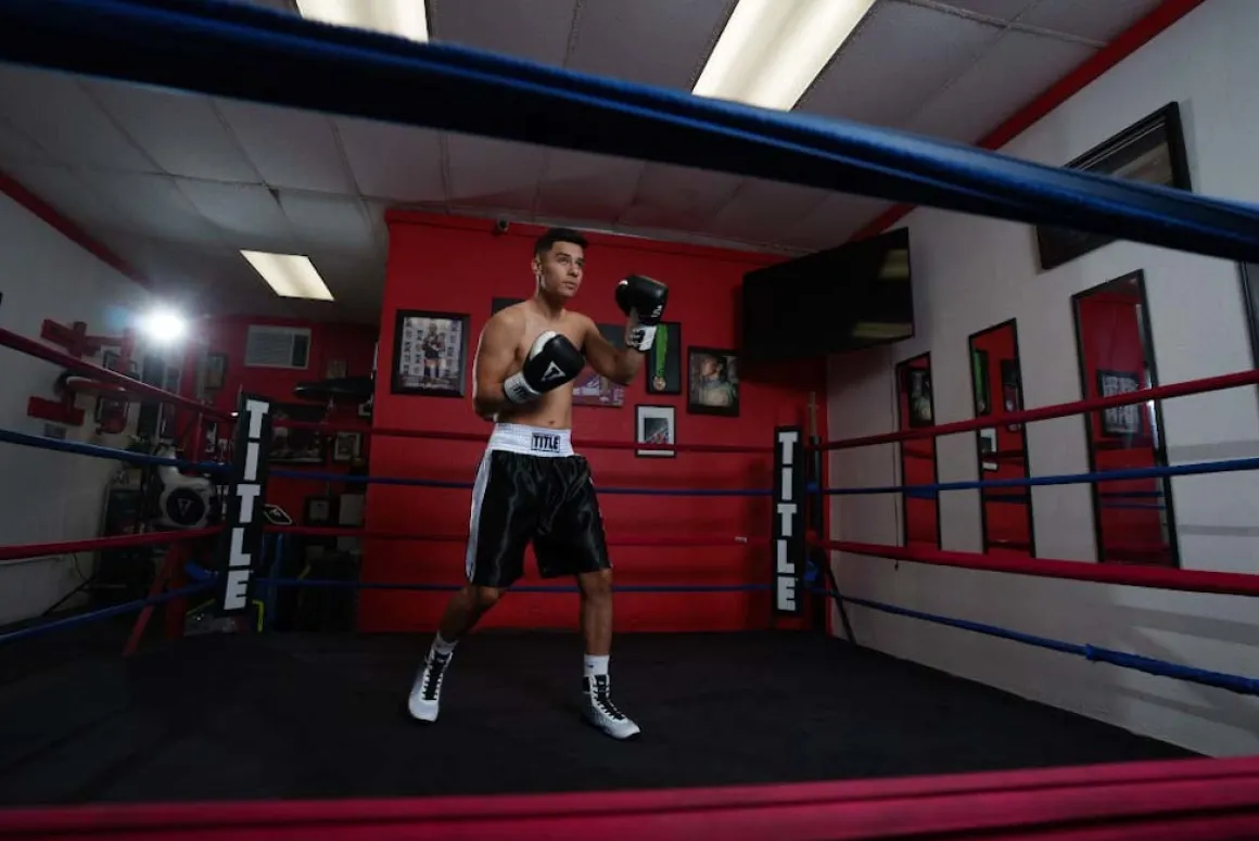 TITLE Great Official Pro Fight Gloves