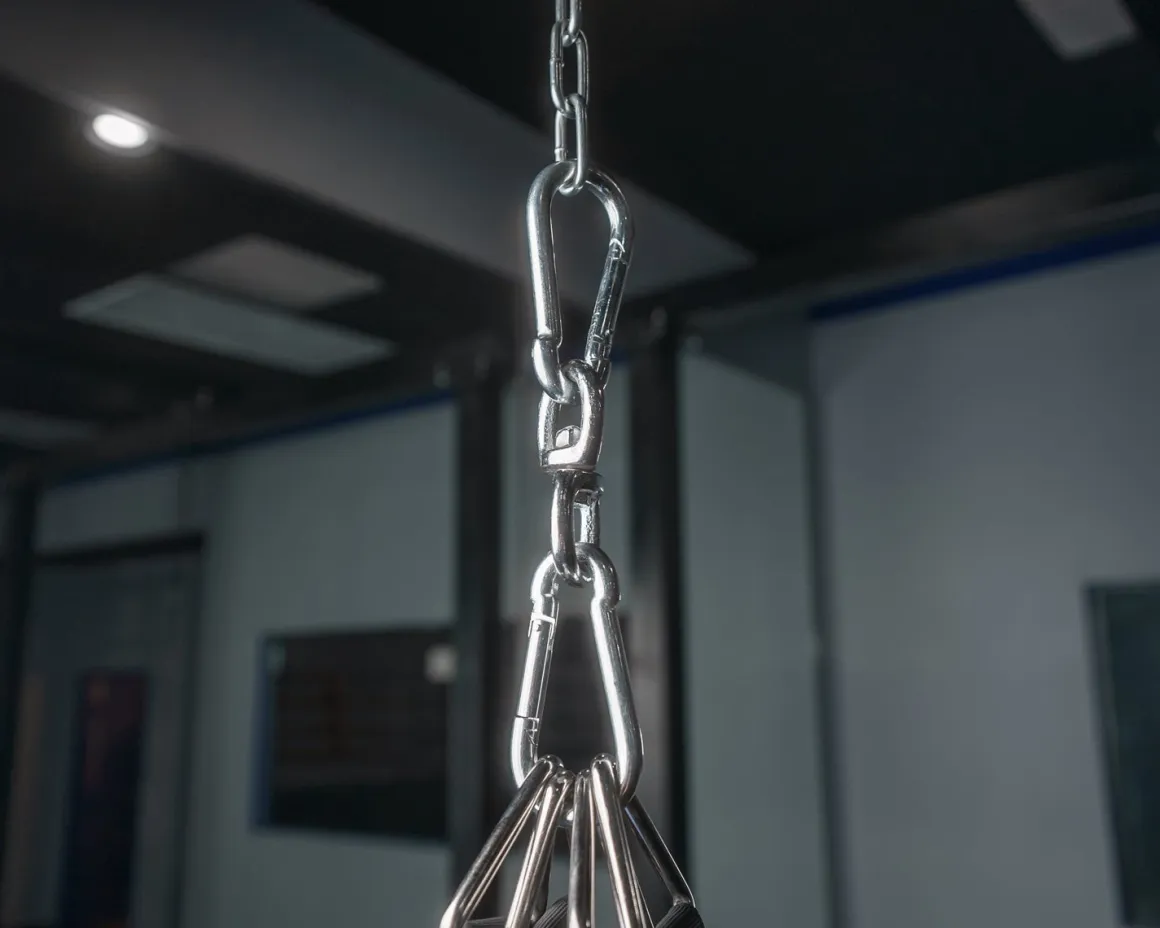 TITLE Heavy Bag Swivel Assembly