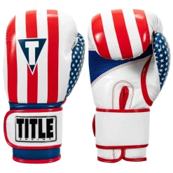 TITLE Infused Foam Combat USA Training Gloves