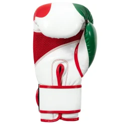 TITLE Infused Foam El Combate Mexico Training Gloves