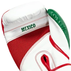 TITLE Infused Foam El Combate Mexico Training Gloves
