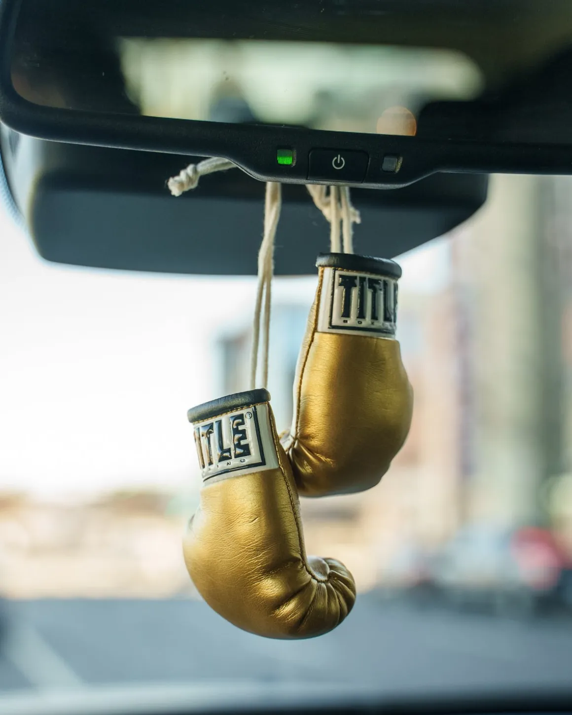 TITLE 3.5” MINI BOXING GLOVES