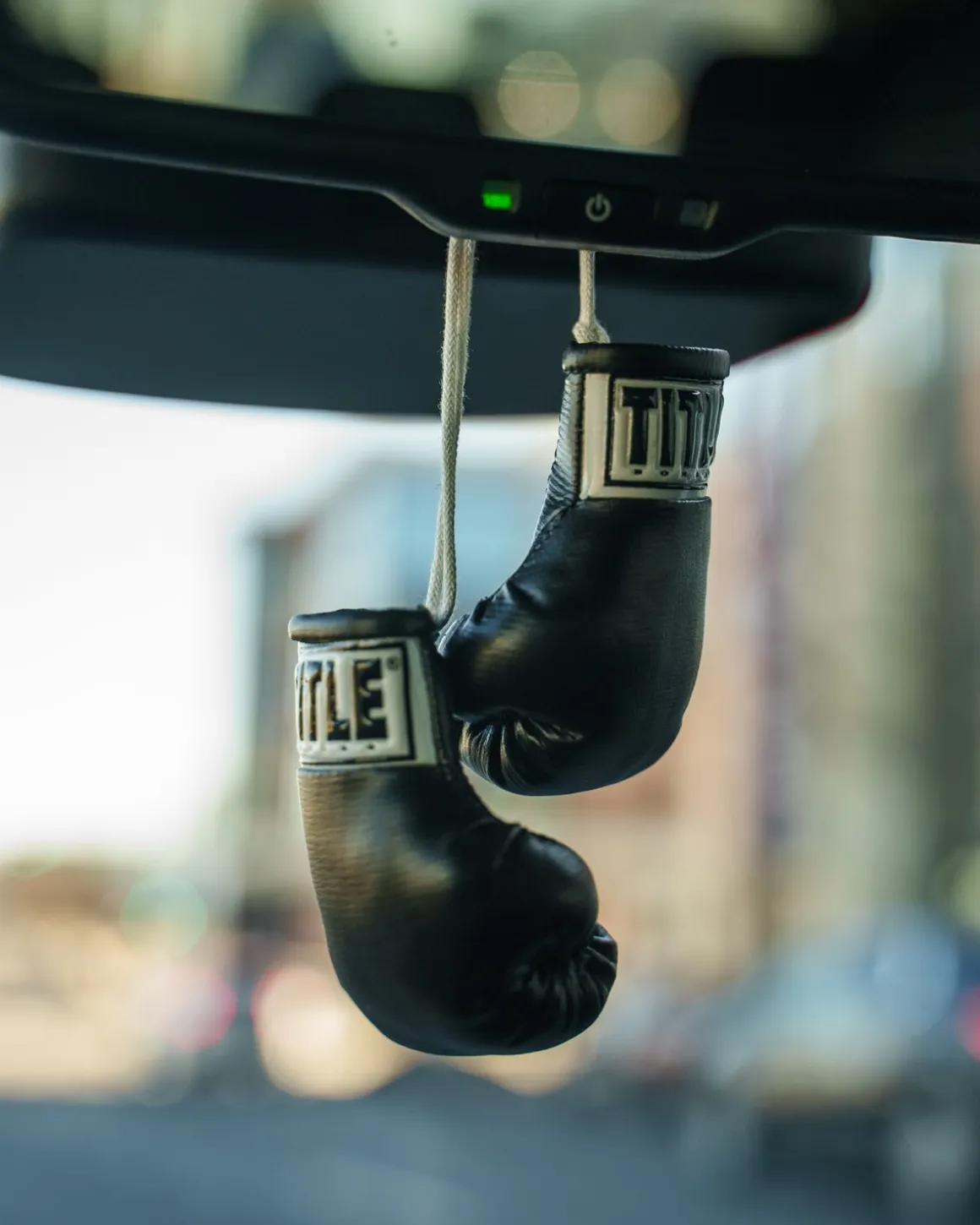 TITLE 3.5” MINI BOXING GLOVES