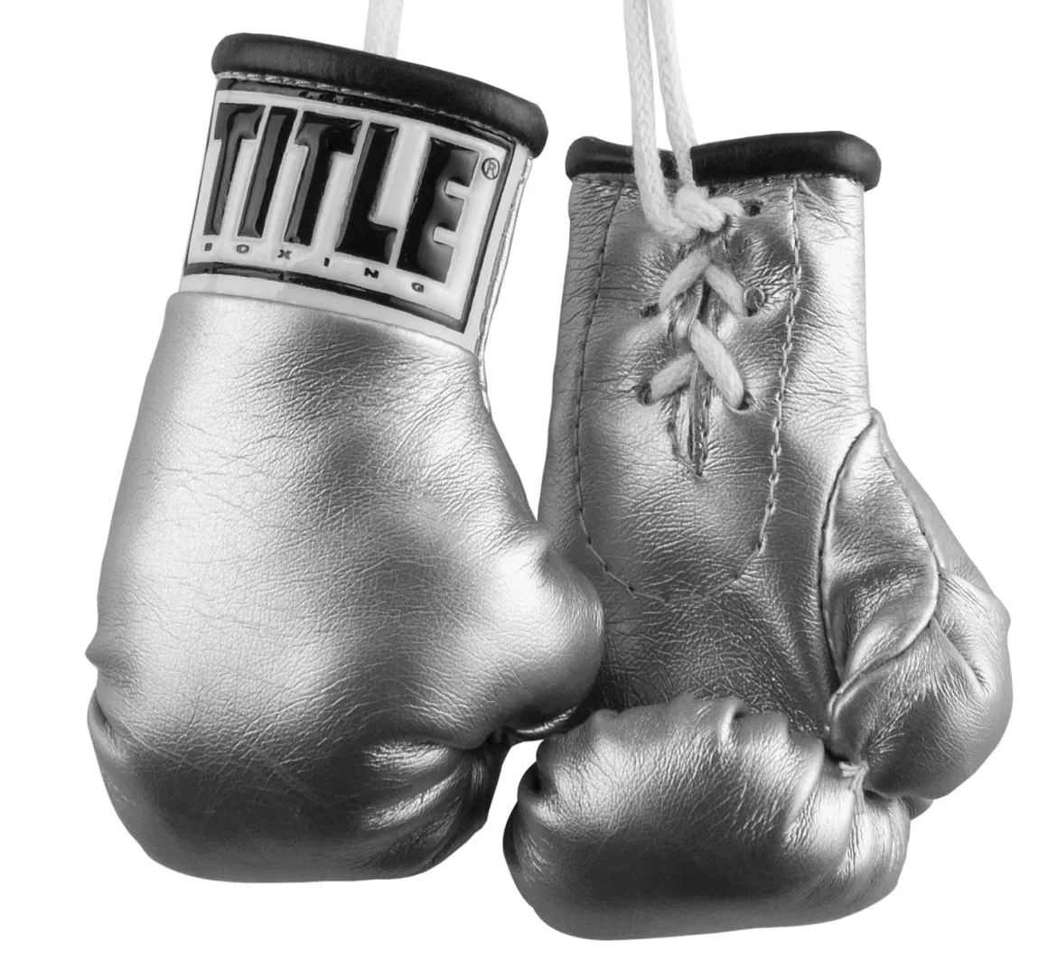 TITLE 3.5” MINI BOXING GLOVES
