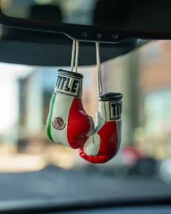 TITLE 3.5” MINI BOXING GLOVES