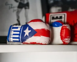 TITLE 5” MINI BOXING GLOVES