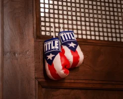 TITLE 5” MINI BOXING GLOVES