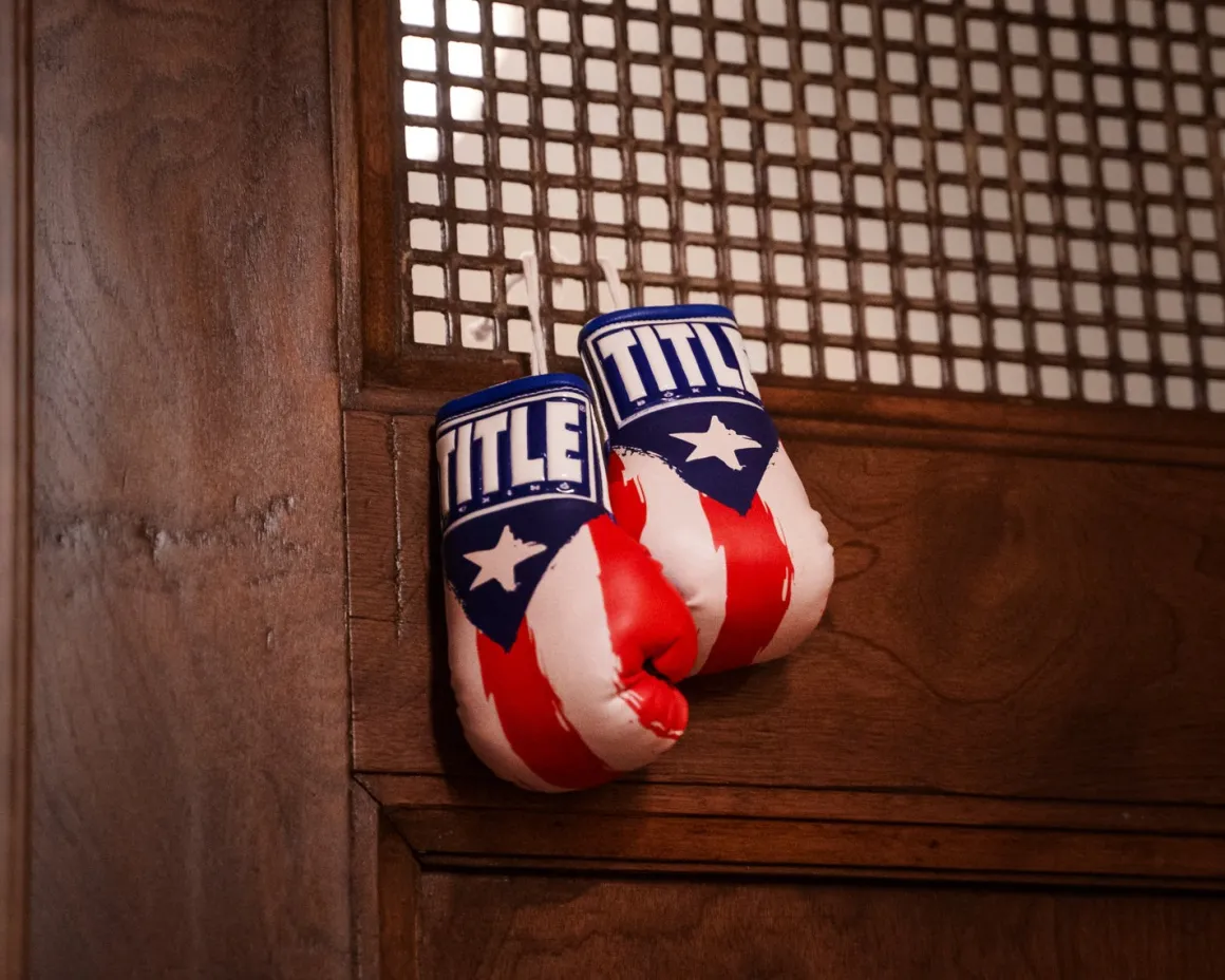 TITLE 5” MINI BOXING GLOVES