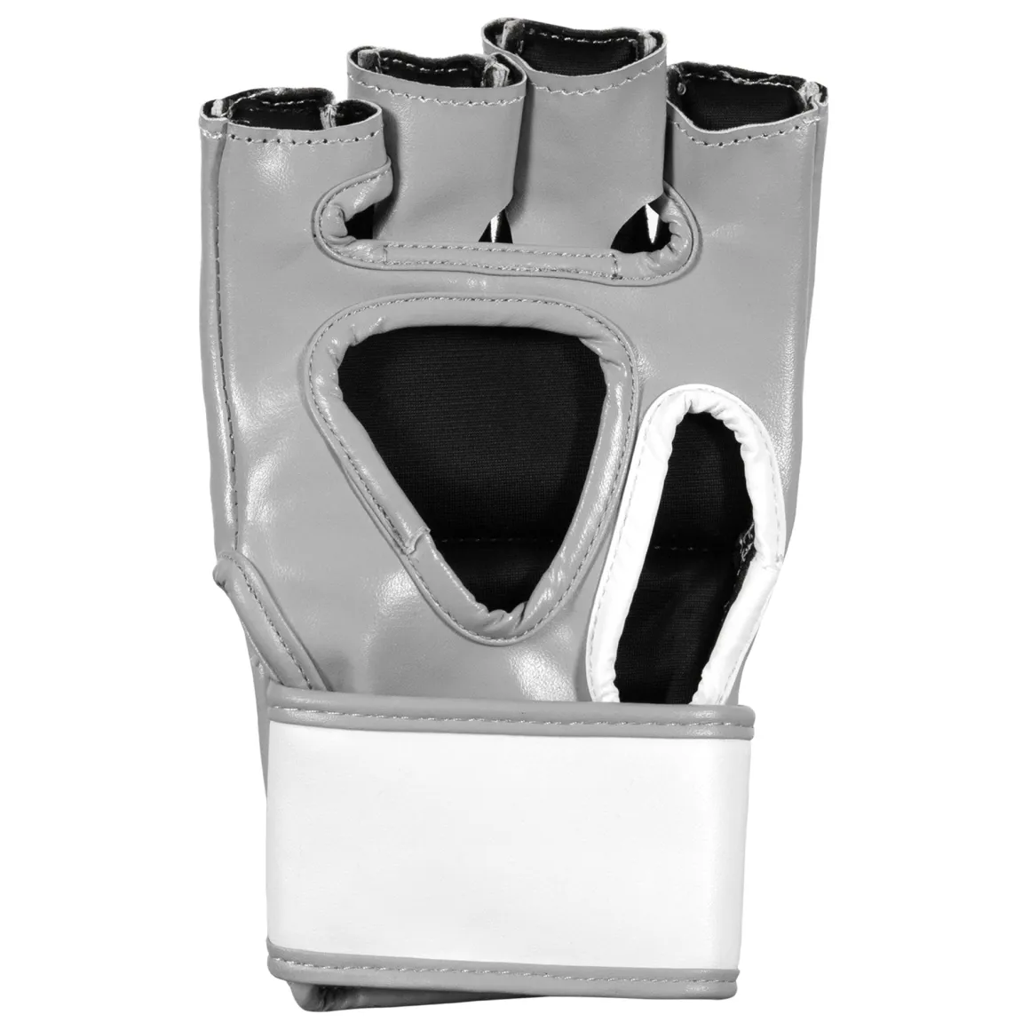 TITLE MMA Fight Gloves