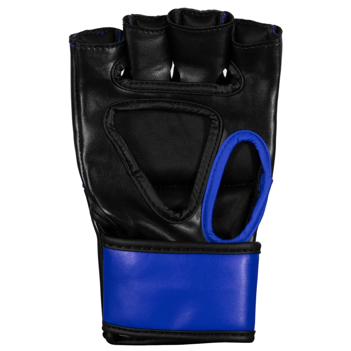TITLE MMA Fight Gloves