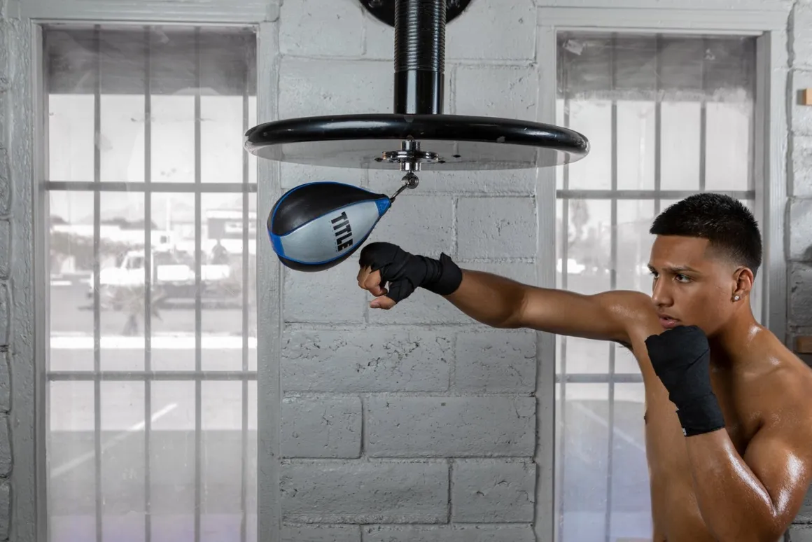 TITLE Platinum Perilous Speed Bag