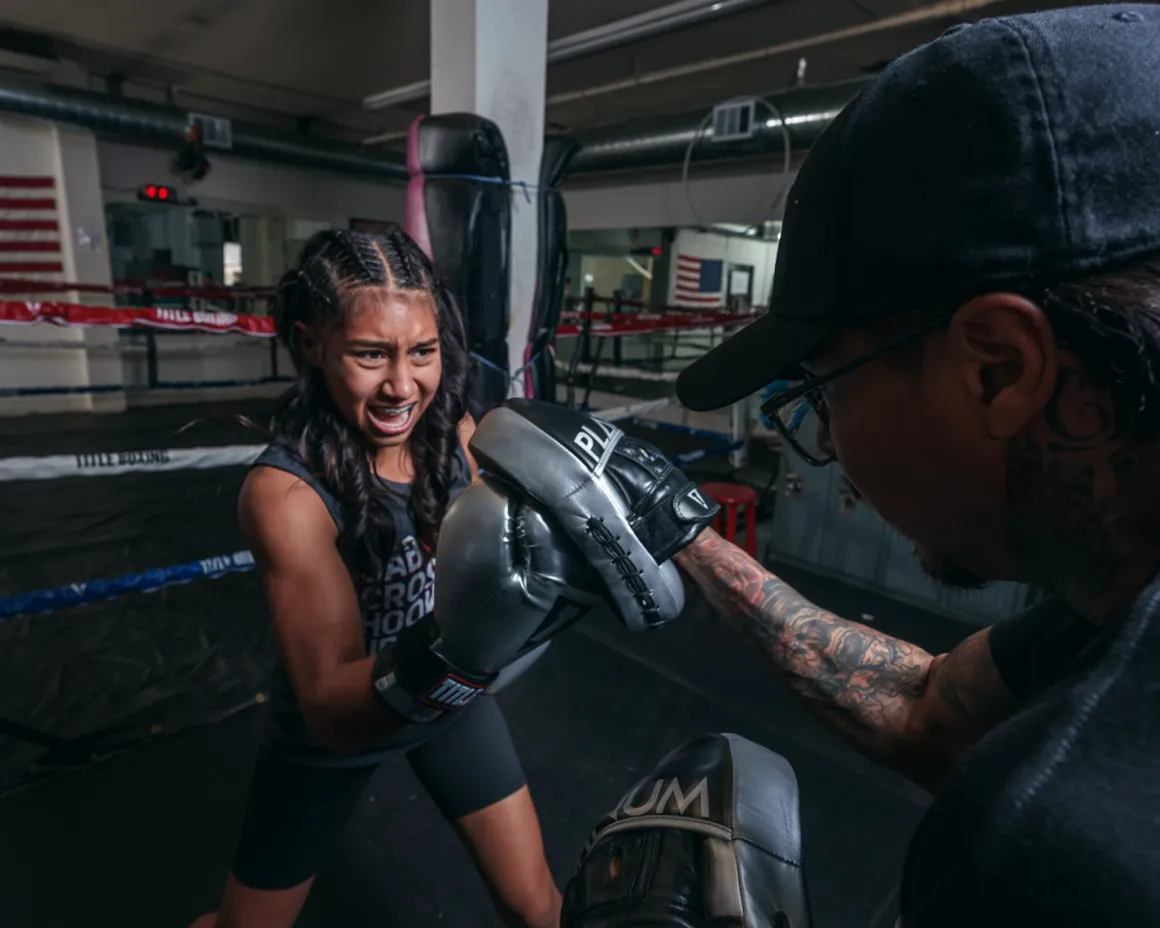 TITLE Platinum Prolific Punch Mitts