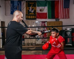 TITLE Precision Training Sticks 2.0